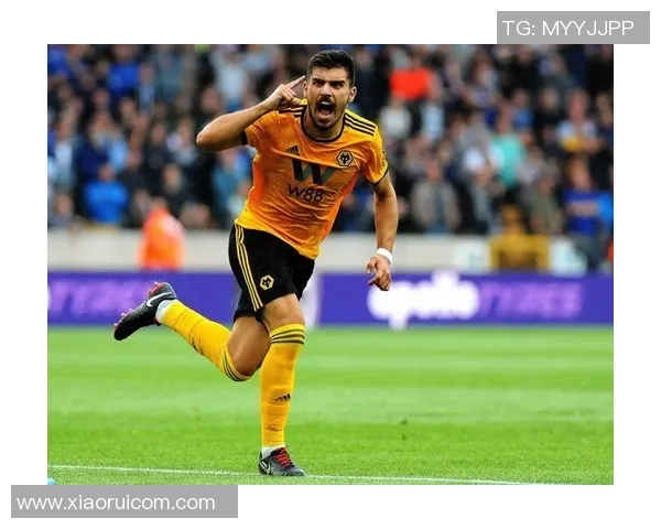 沃尔索尔与朴次茅斯的精彩对决揭示英格兰足球的魅力与竞争力