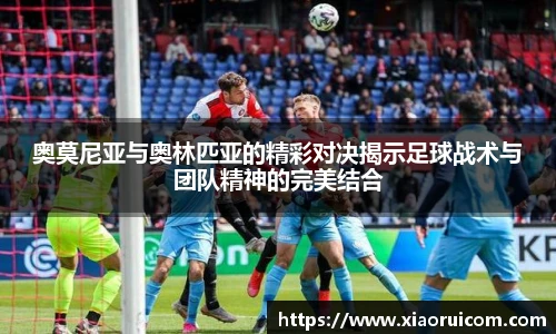 中欧体育