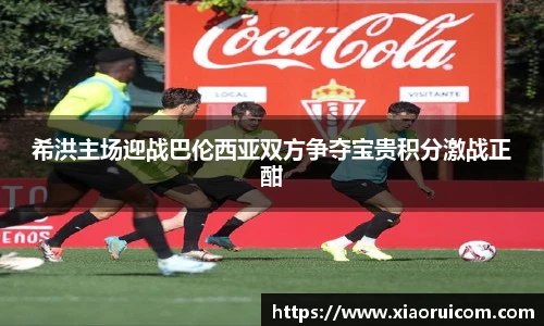 中欧体育